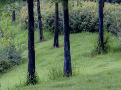 -潜山国家森林公园