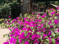 -天怡·鱼工厂(梅溪湖店)