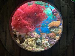 -杭州海底世界