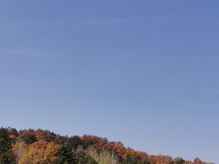 -六里坪国家森林公园