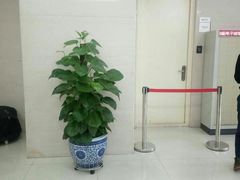 -中国银行(北京知春路支行)