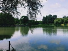 -海淀公园