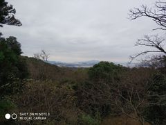 -普陀山风景名胜区-法雨禅寺