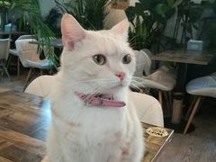 -小时光咖啡馆(北锣鼓巷店)