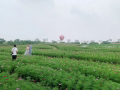 -歌斐颂巧克力小镇