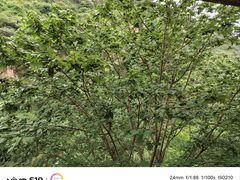 -西游洞风景区