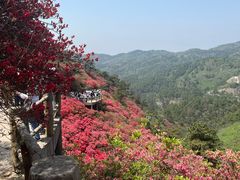 -木兰云雾山