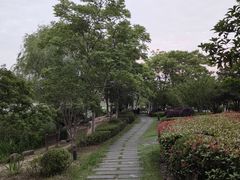 -海天湖公园