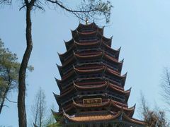 -铁山坪森林公园