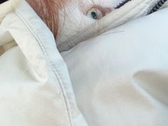 -中农国际动物医院24小时·猫科·骨科·急重症中心