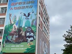 -泉州海丝野生动物世界