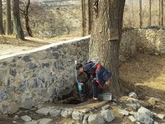 -阳台山自然风景区