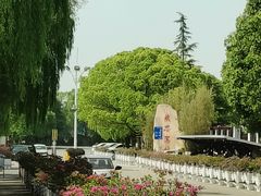 -胜华驾校·小猫学车(银都店)