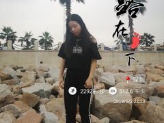 -宝安西湾红树林湿地公园