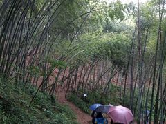 -西湖风景区十里琅珰-五云山