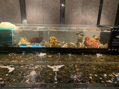 水产区-Mr·Fish鱼鲜生海鲜放题(银泰in99店)