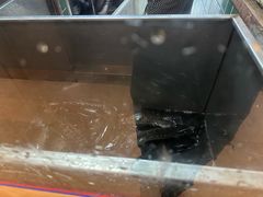-百岁我家酸菜鱼(龙湾万达店)
