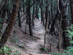 -喻家山
