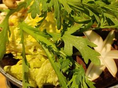 -森味薪火烧•烧鸟居酒屋•日本料理(望京店)