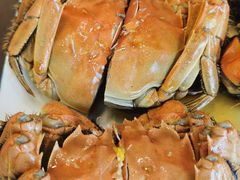 太湖清水蟹熟醉蟹-呼吸森林·生态农庄农家乐私房菜