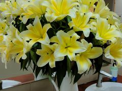 -农汤老店(顺联公园里店)