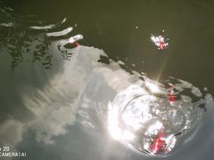 -全季酒店（苏州观前街平江路店）(原临顿路地铁站店)