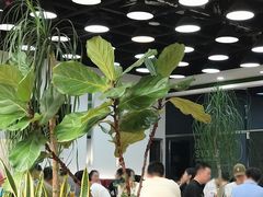 -813芭依珊 BAESAn(皇冠十畝地店)