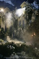 -琥珀婚礼策划AMBER WEDDING