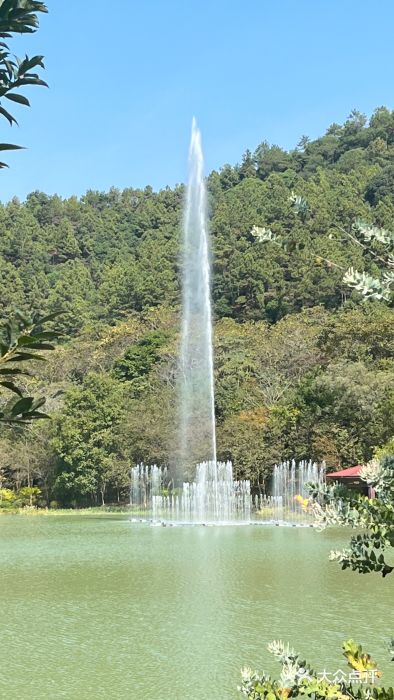 广州白江湖森林公园图片