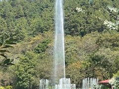 -广州白江湖森林公园
