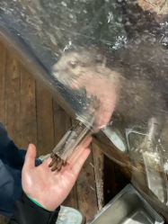 -Zoolung Zoolung动物主题公园(海信广场店)