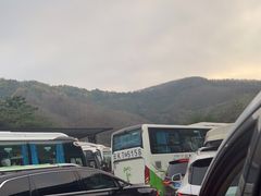 -西双版纳原始森林公园