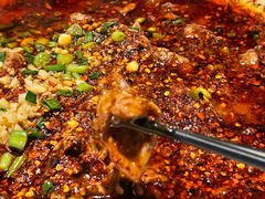 -院8里·小聚园老川菜(九眼桥店)