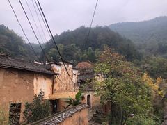 -杨家堂村