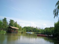 -上海长兴岛郊野公园