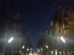 -万绿园