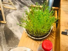 -好彩猪肚鸡(正弘城店)
