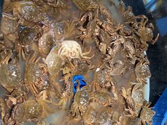 -争先鲜·蒸汽海鲜自助·鲜切牛肉