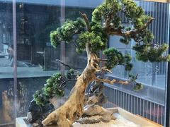 -享月汤皇·海鲜小火锅·聚会(曲江创意谷店)