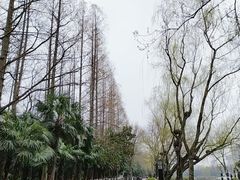-浮庄