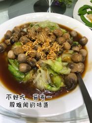 -金茂深圳JW万豪酒店·宴会厅
