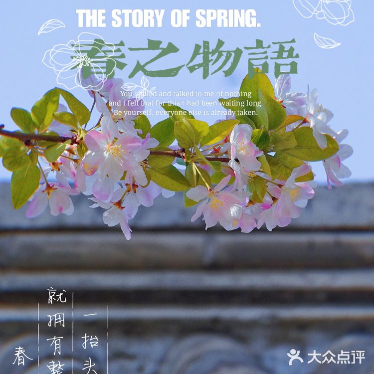 🌸京城赏花攻略|北土城地铁口,让你免费拥抱海棠花海🌷