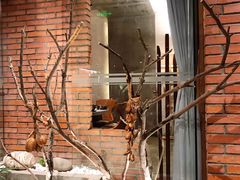 -园里火锅(仁和新城店)