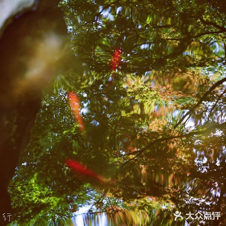 苏州常熟本地人最爱的免费公园虞山公园