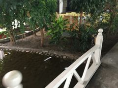 -红栌温泉山庄生态美食餐厅