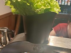 -九田家黑牛烤肉料理(宽城万达店)