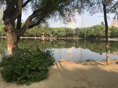 -青城公园