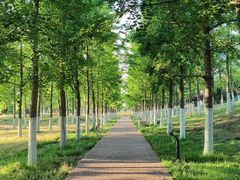 -汉长安城未央宫国家考古遗址公园