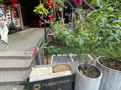 -小洲村
