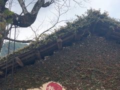 -村上春树